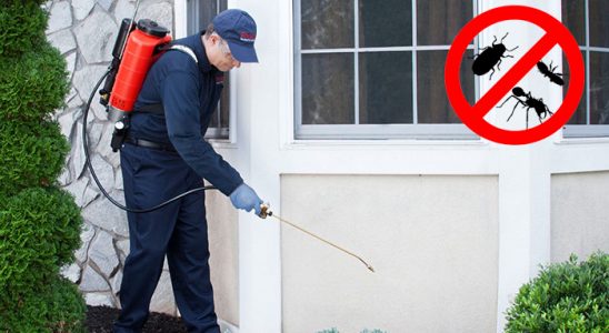 Tavşanlı Kene İlaçlama böcek ilaçlama ve haşere kontrolü — ilaclama-tr.com